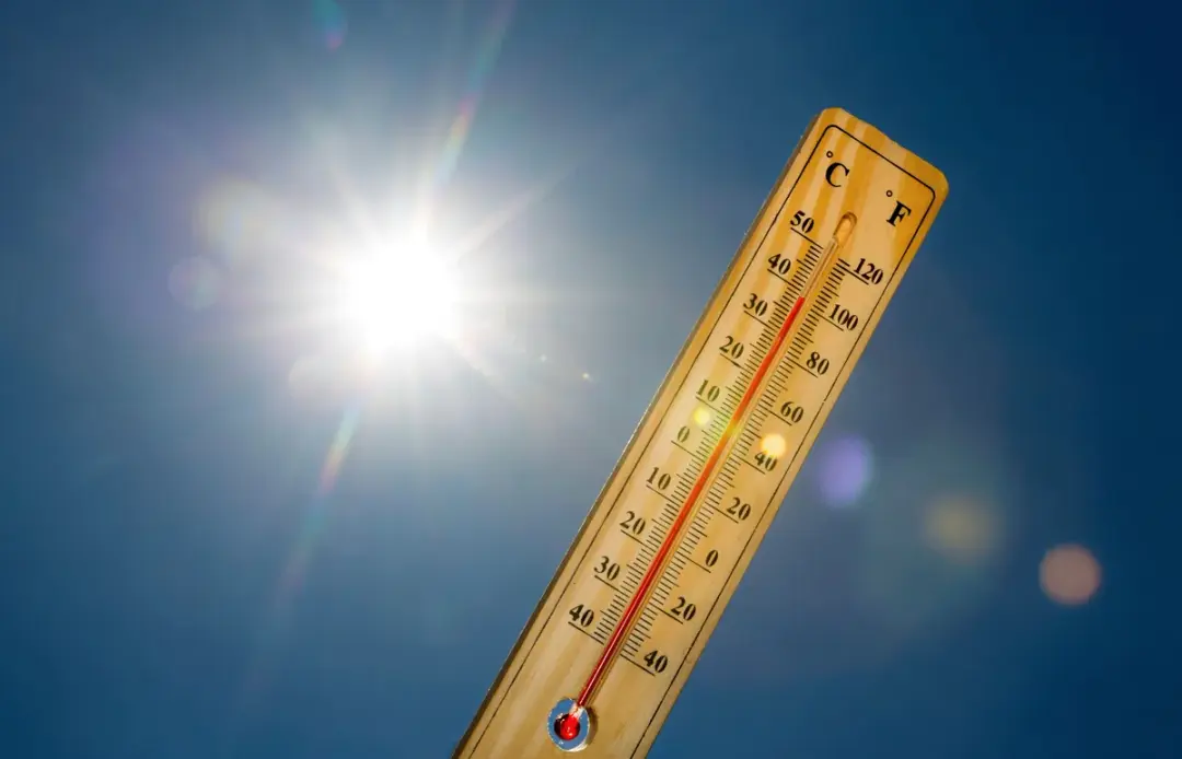 canicule.webp